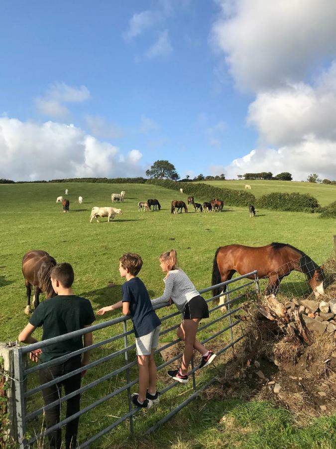 Holiday home Blaen Cedi Cottages