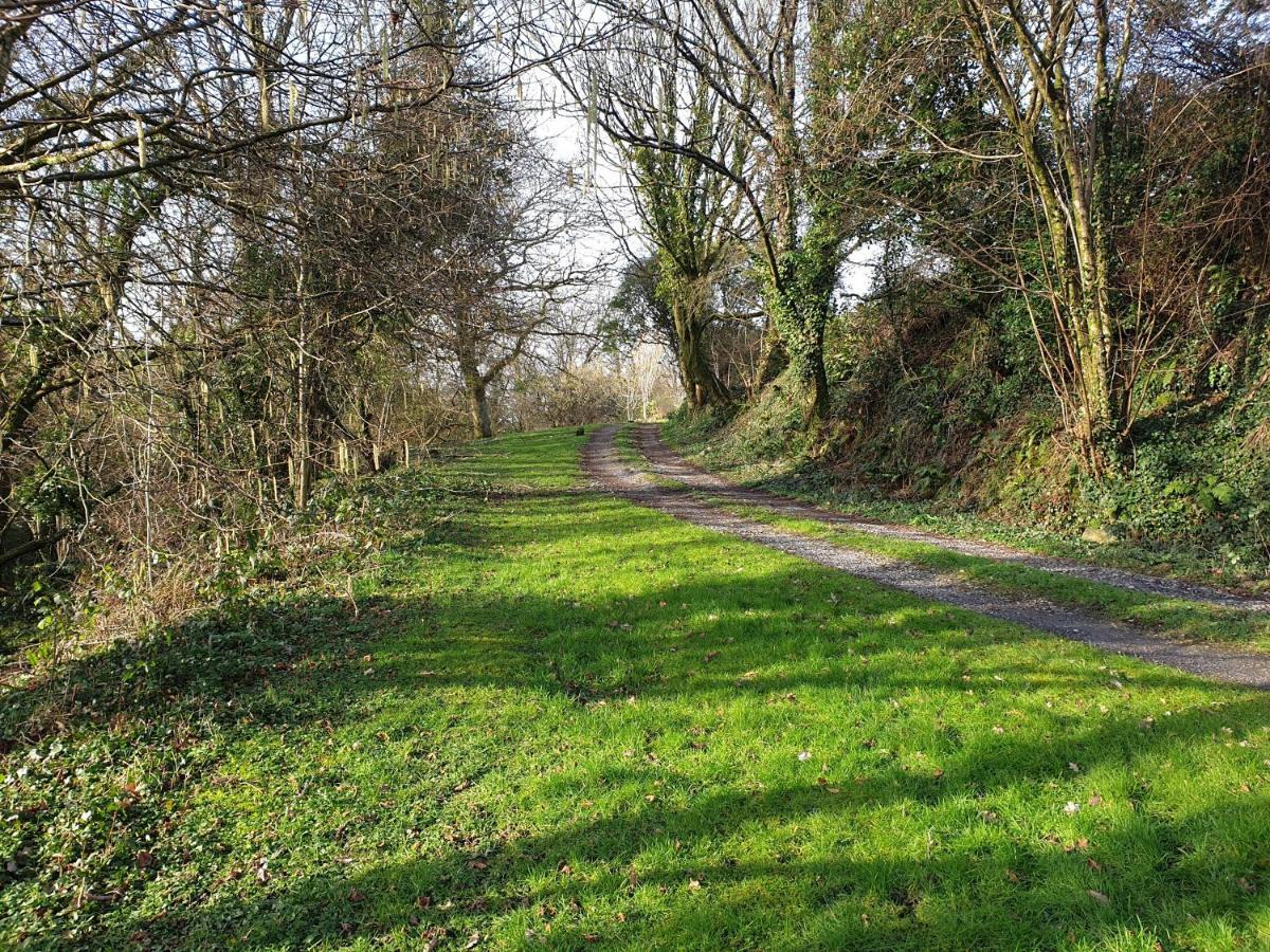 Blaen Cedi Cottages Holiday home